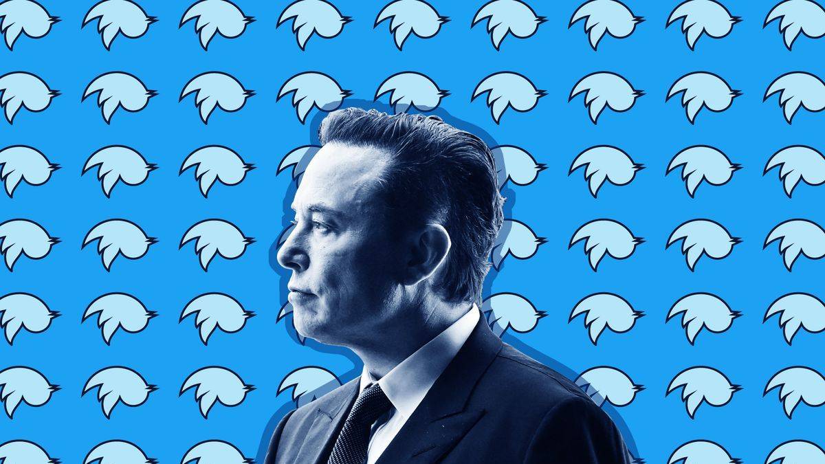 Musk, Twitter'ın gelirini beşe katlamayı hedefliyor