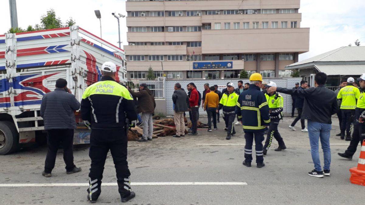 Iğdır'da feci kaza: 46 küçükbaş hayvan telef oldu