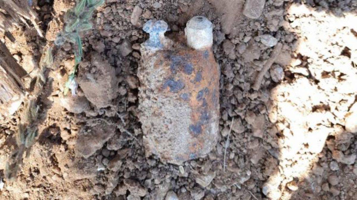 Ormanlık alanda patlamamış el bombası bulundu