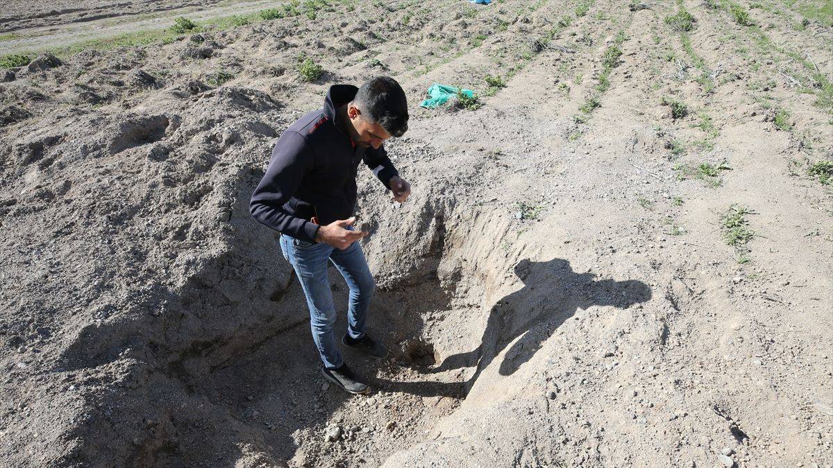 Parçalanmış halde bulunan erkek cesediyle ilgili 3 tutuklama