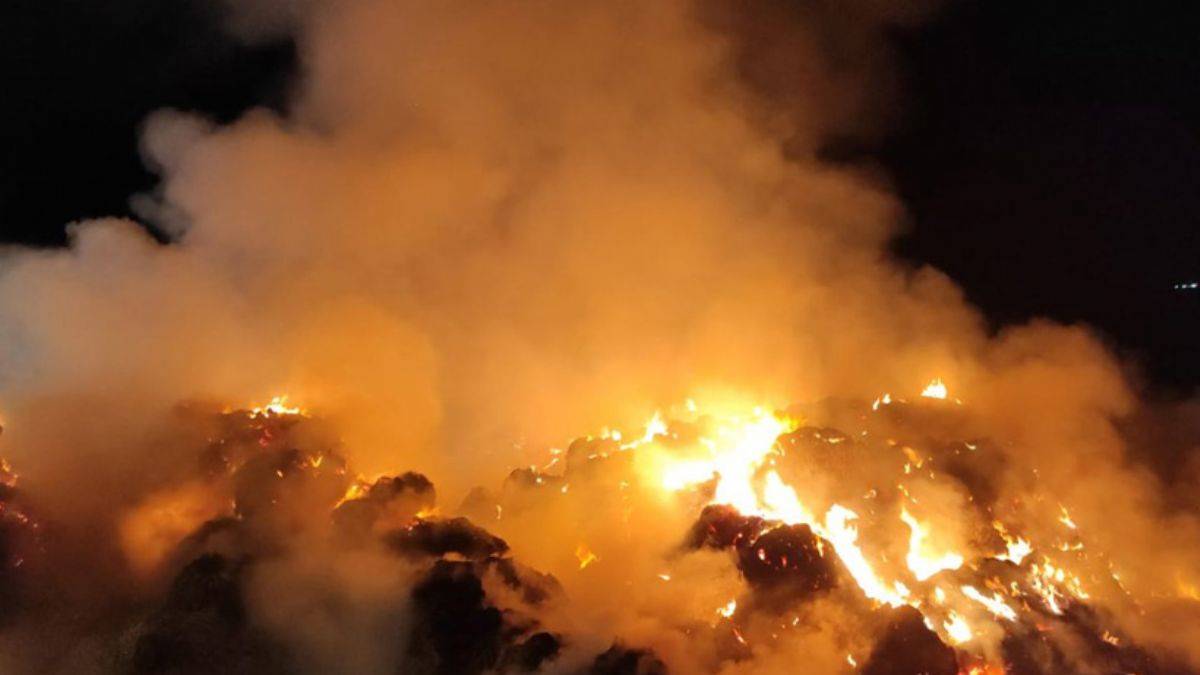 Tarım ve hayvancılık tesisinde büyük yangın