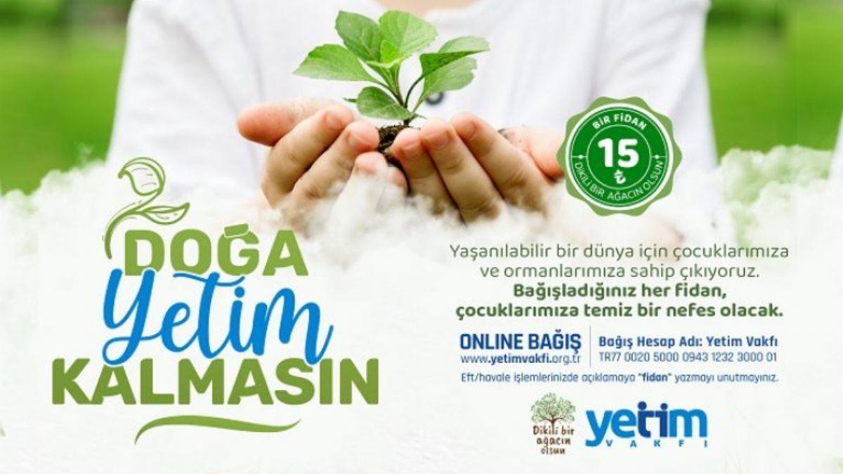Yetim Vakfı “Dikili Bir Ağacın Olsun” projesi | Fidan yardımı nasıl yapılır? Yetimler için fidan yardımı kampanyası