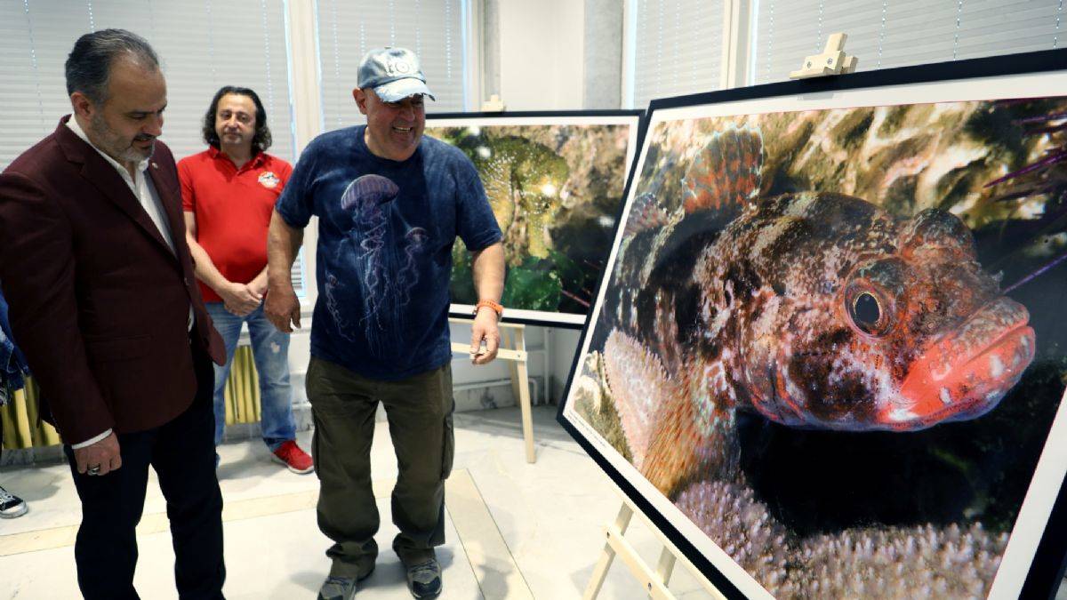 Marmara Denizi'nde hayat var