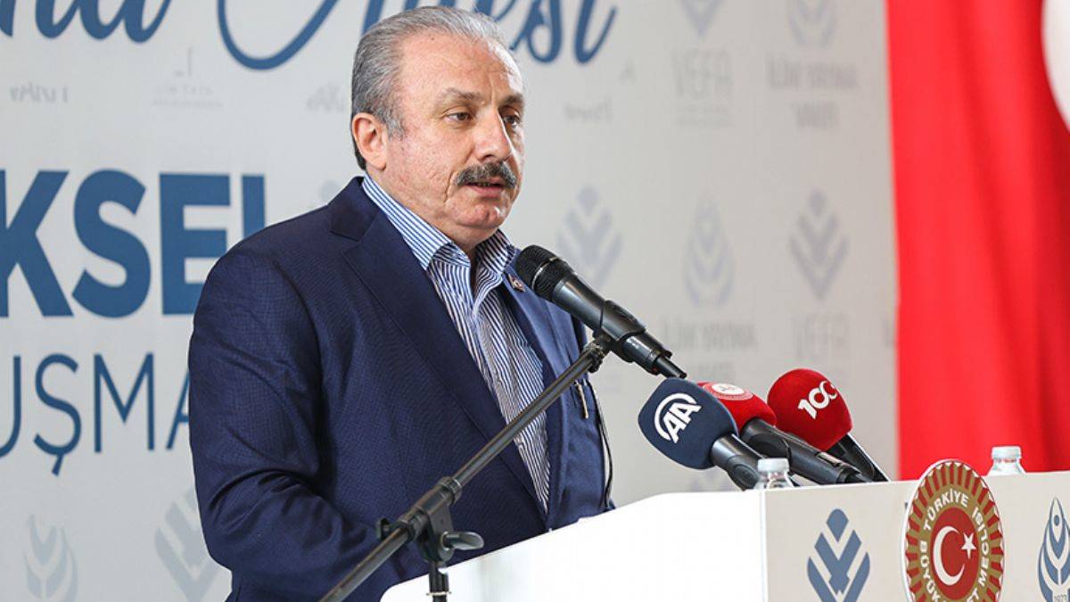 Şentop: Cumhurbaşkanımız 'kaçmak' fiiliyle yan yana konulabilecek son kişidir