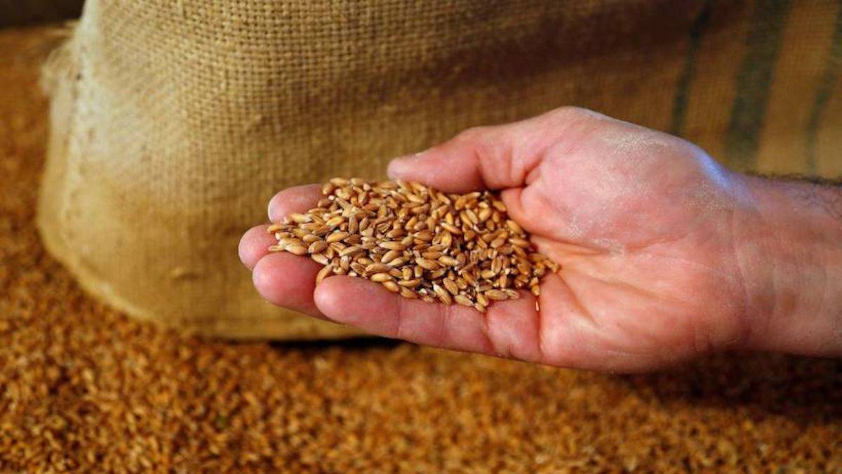 Çin’in 2021'de dünyadaki tahılların yarısını stokladığı ortaya çıktı