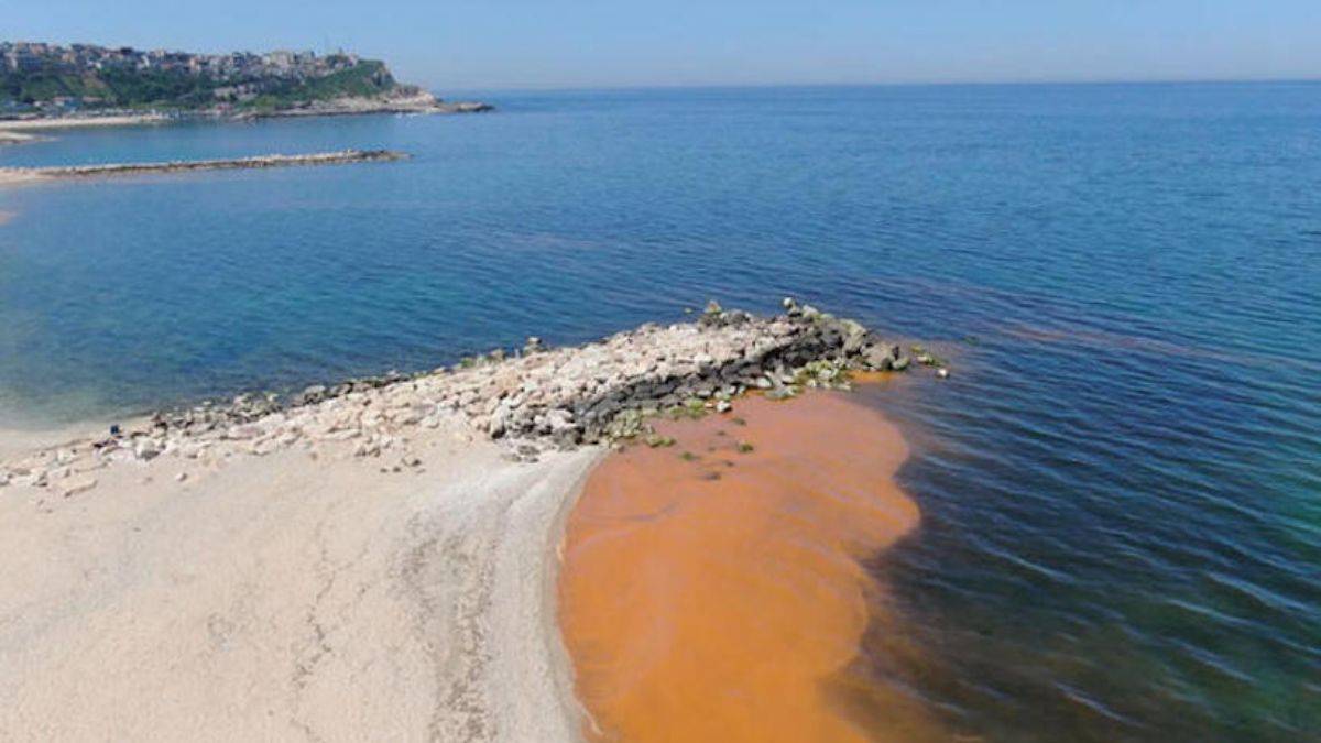 Karadeniz'deki renk değişiminin sırrı çözüldü
