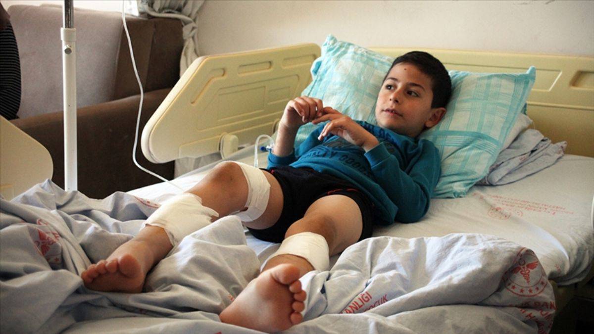 4 köpek birden saldırdı!