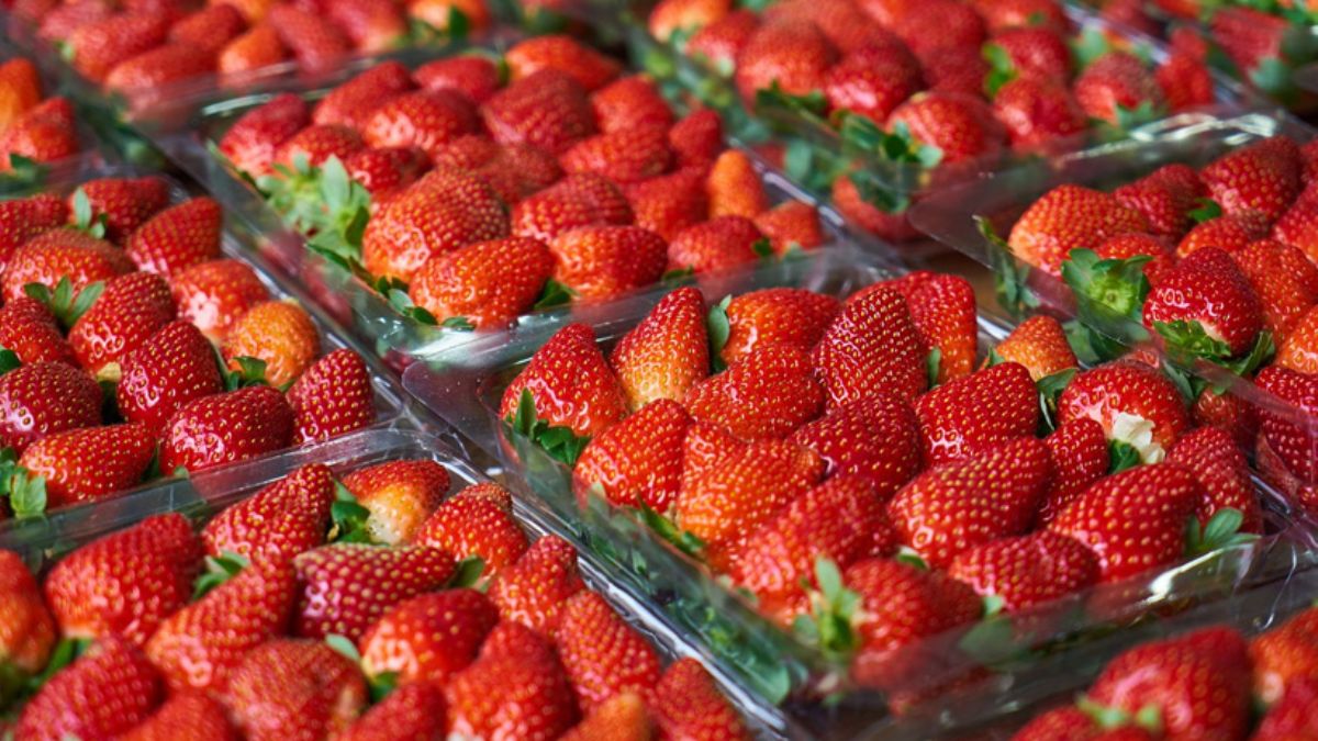 ABD ve Kanada'da Hepatit A endişesi: Tüm çilekler toplatılıyor!