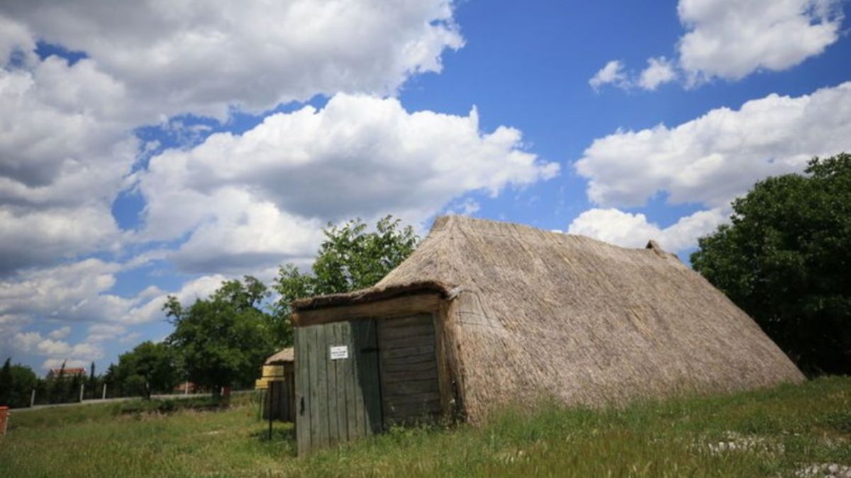 Kırklareli'nde 8 bin 200 yıllık 'Dal evler'