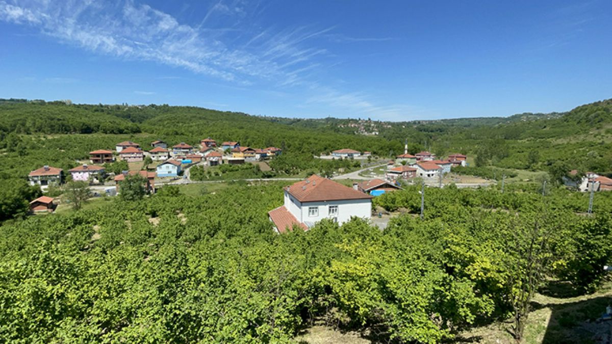 Romanların üreten köyü: Bakırlık