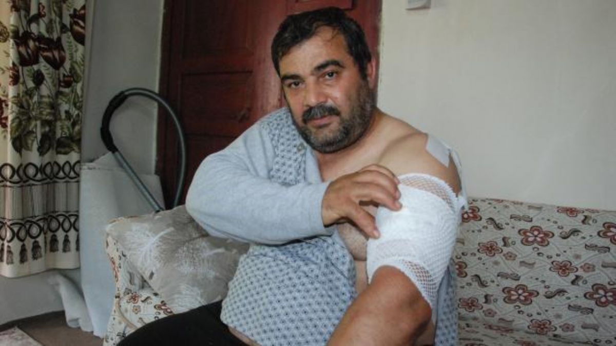 Ayı saldırısından ölü taklidi yaparak kurtuldu