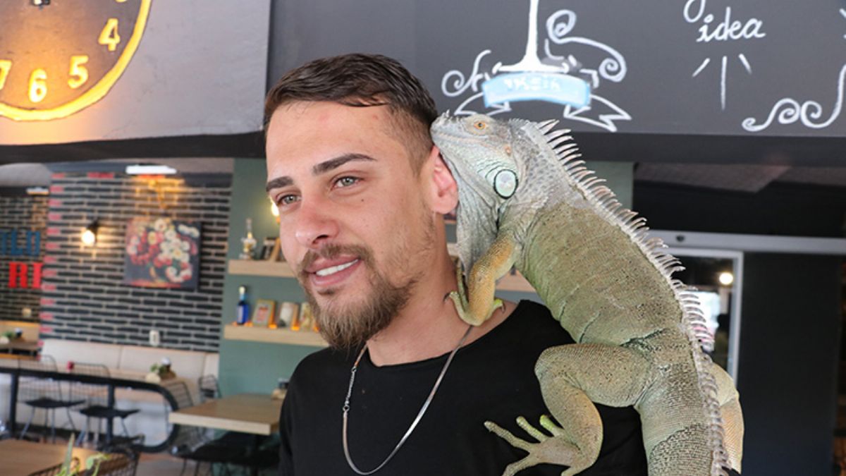 Yozgat'ta kafe müşterilerini iguana ile karşılıyor