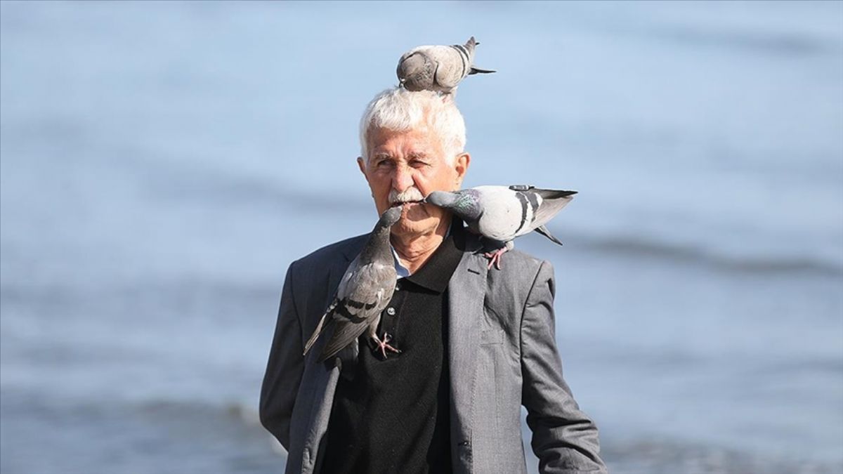 Harçlığını güvercinleri beslemeye harcıyor