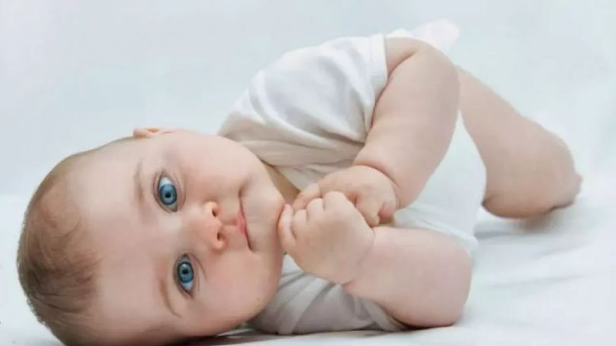 Sina isminin anlamı nedir? Sina ismi kız mı erkek mi? Sina Kur'anda geçiyor mu?