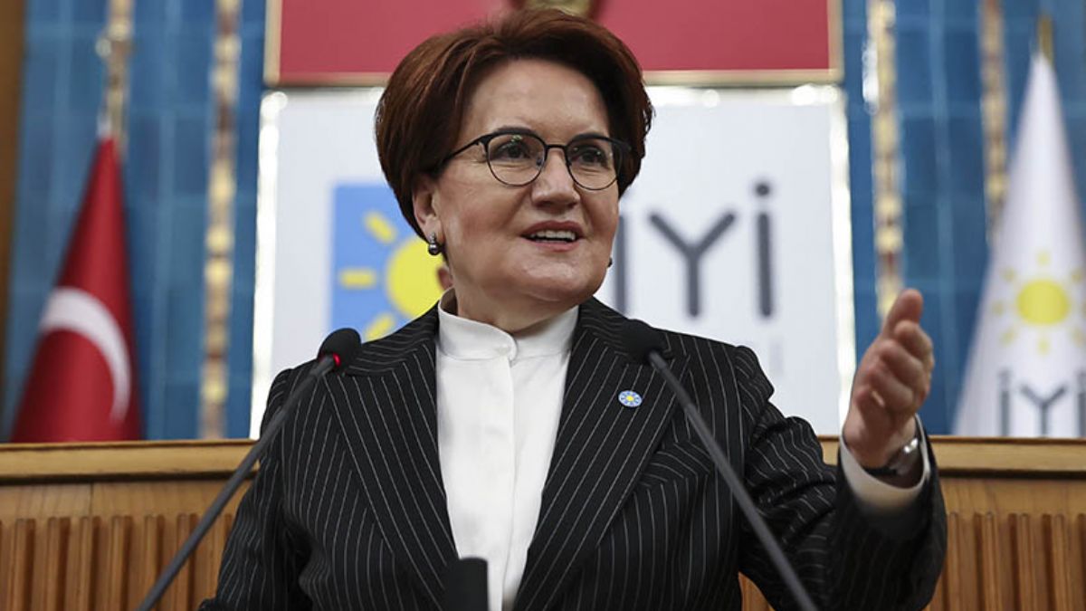 Meral Akşener'den Nâzım Hikmet paylaşımı: 'Elbet bitecek güneşe hasret günler'