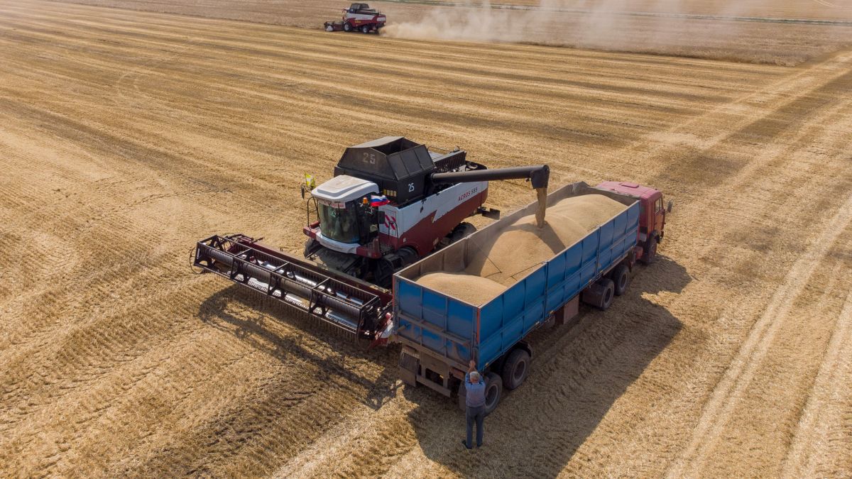 Putin’den 'Ukrayna tahılı' açıklaması