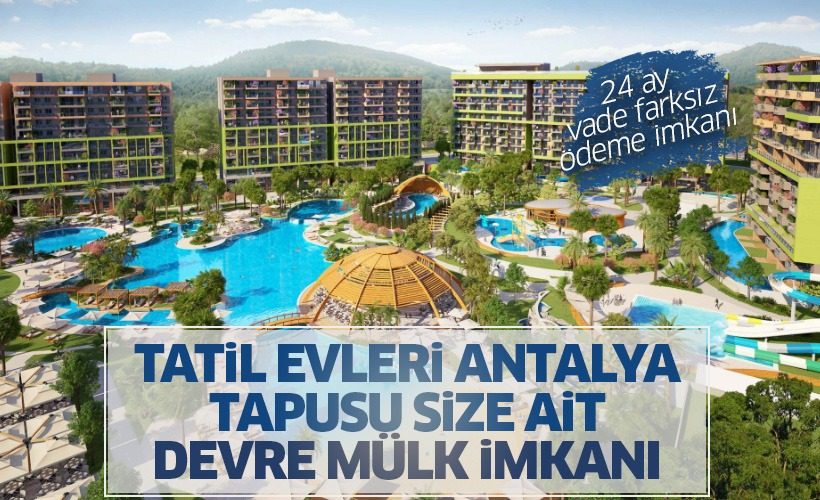 Suryapı destek