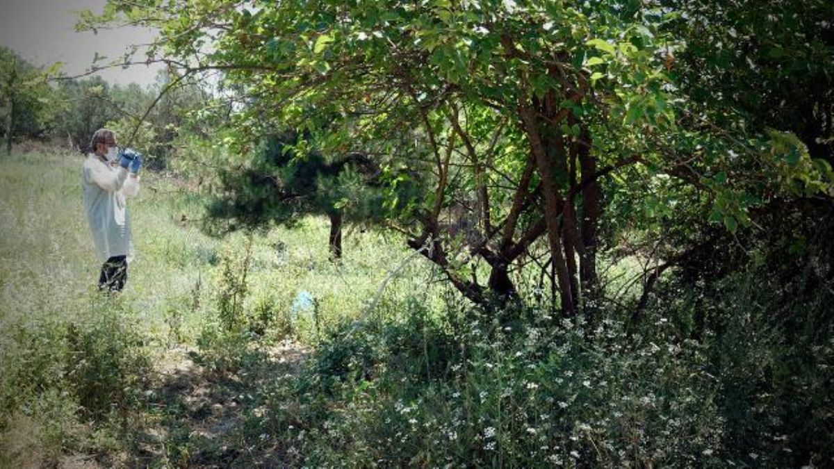 Boş arazide yeni doğmuş bebek bulundu