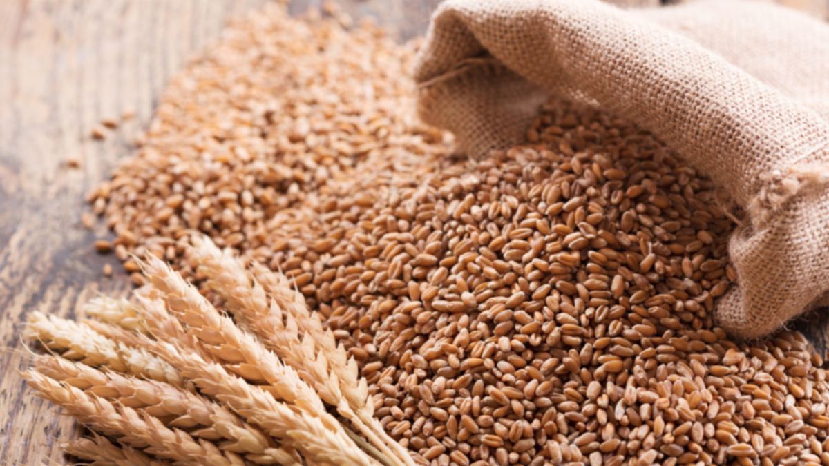 Lavrov çözüm için geliyor