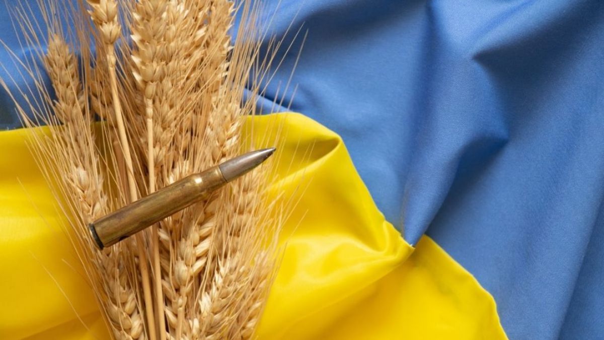 Zelenskiy: 25 milyon ton tahıl bloke edildi