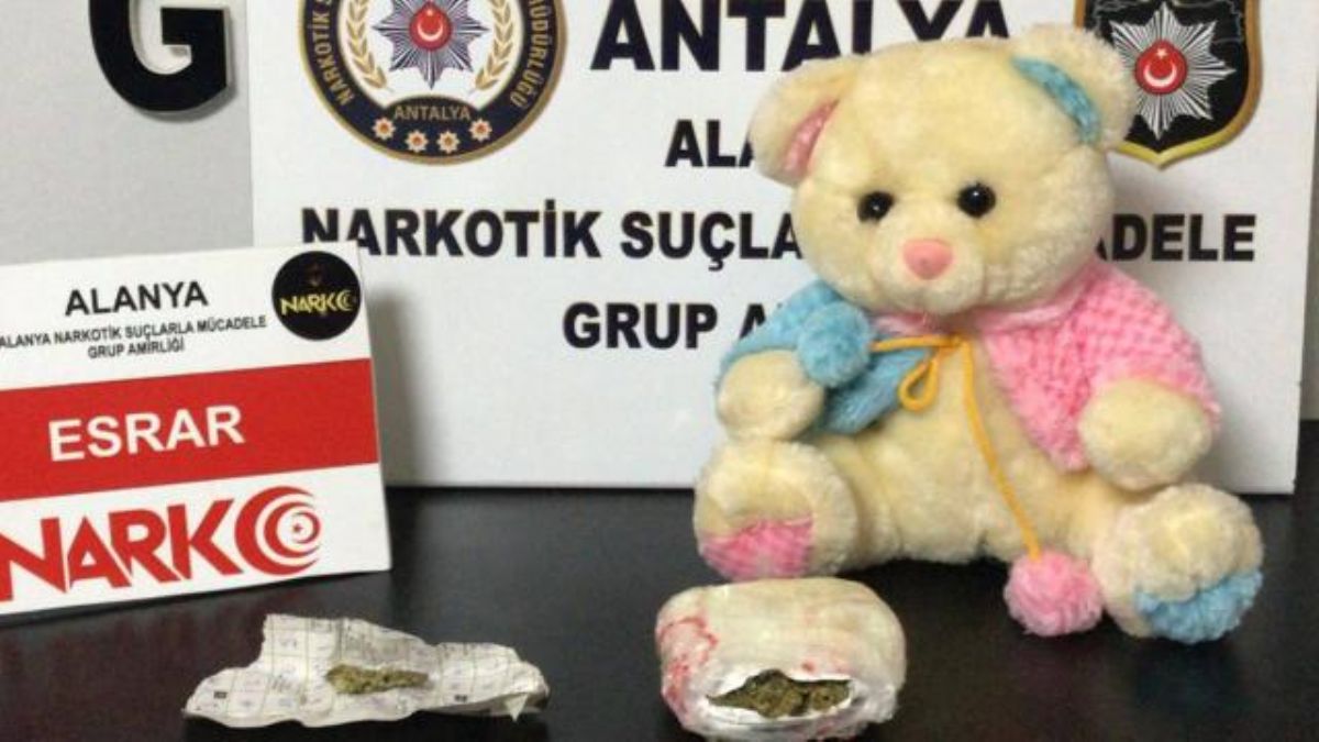 Oyuncak ayıdan uyuşturucu çıktı