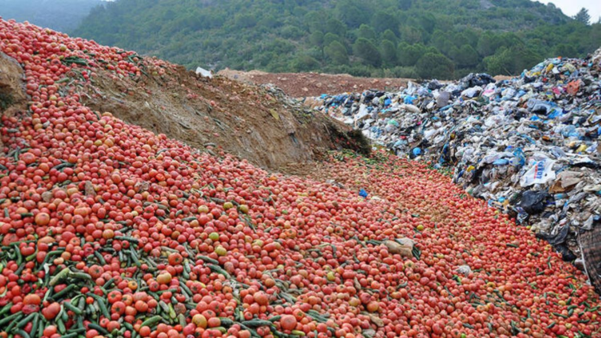 Antalya'da çöpe dökülen sebzelerle ilgili açıklama