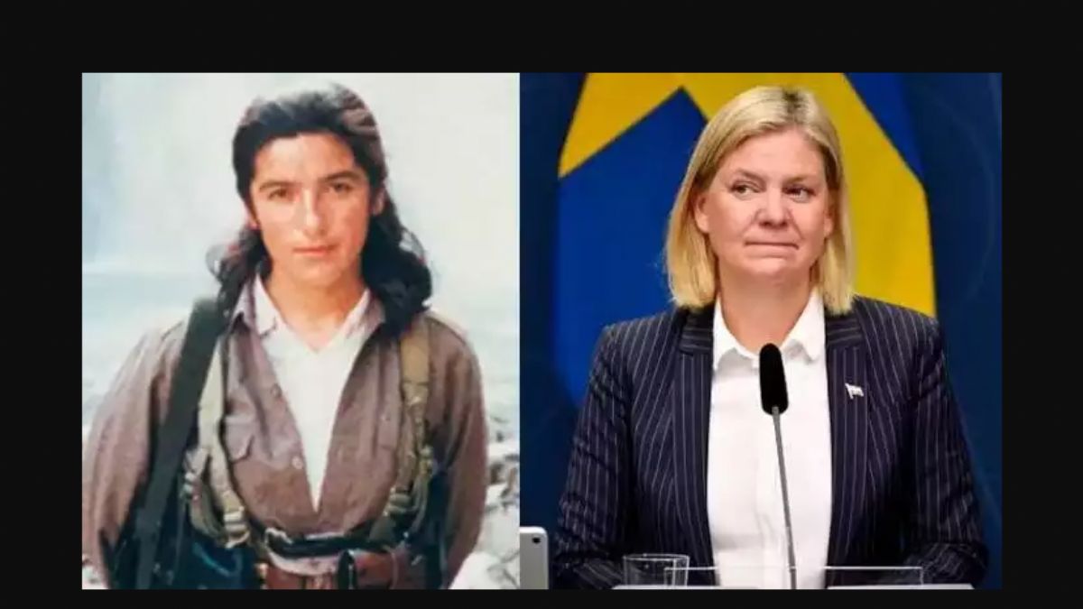 İsveçlilerden 'Erdoğan haklı' paylaşımları