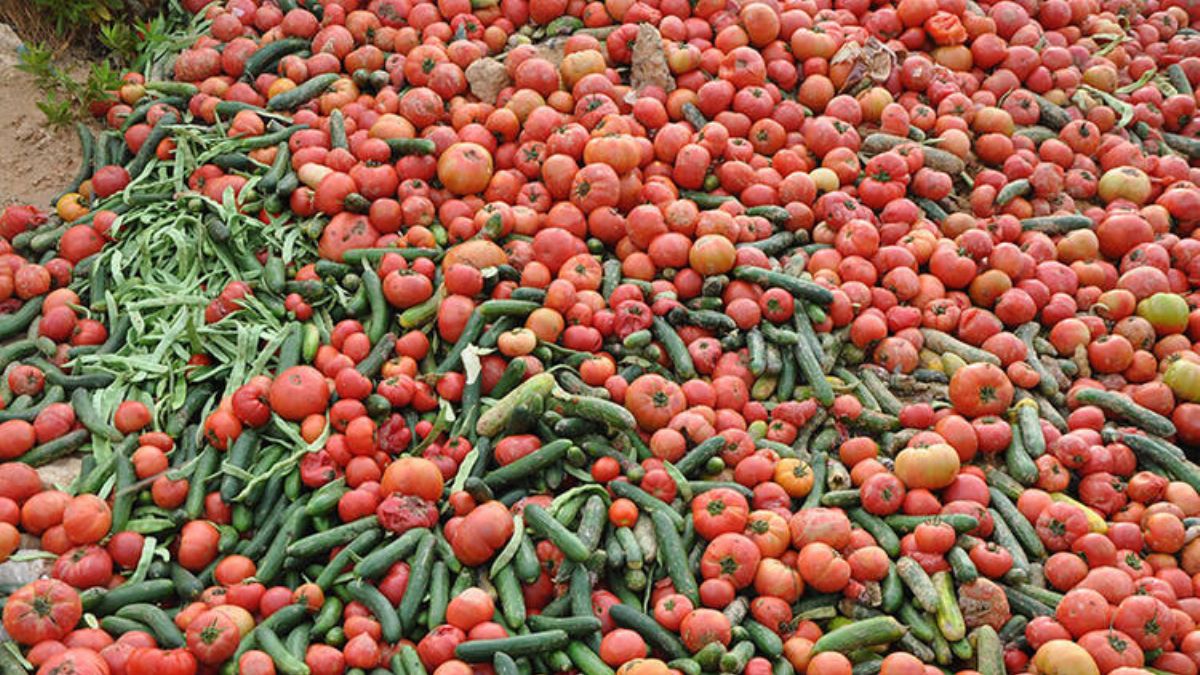 Çöpe atılan sebzelerle ilgili inceleme başlatıldı