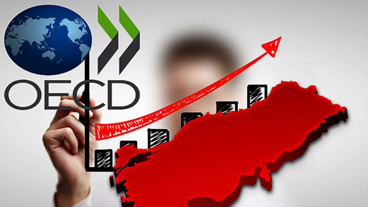 OECD, Türkiye'nin büyüme tahminini yükseltti