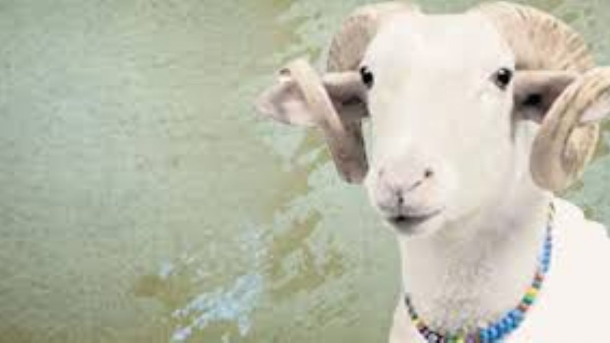 Kurban bayramı hangi gün? Kurban temmuzun kaçında? Kurban bayramı 2022 dini günler takvimi