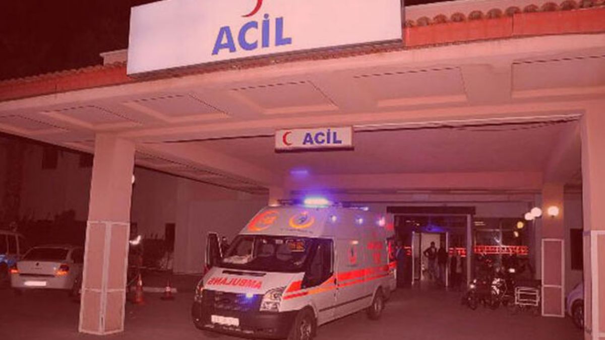 Bitlis'te 'ot biçme' kavgası: 3 ölü