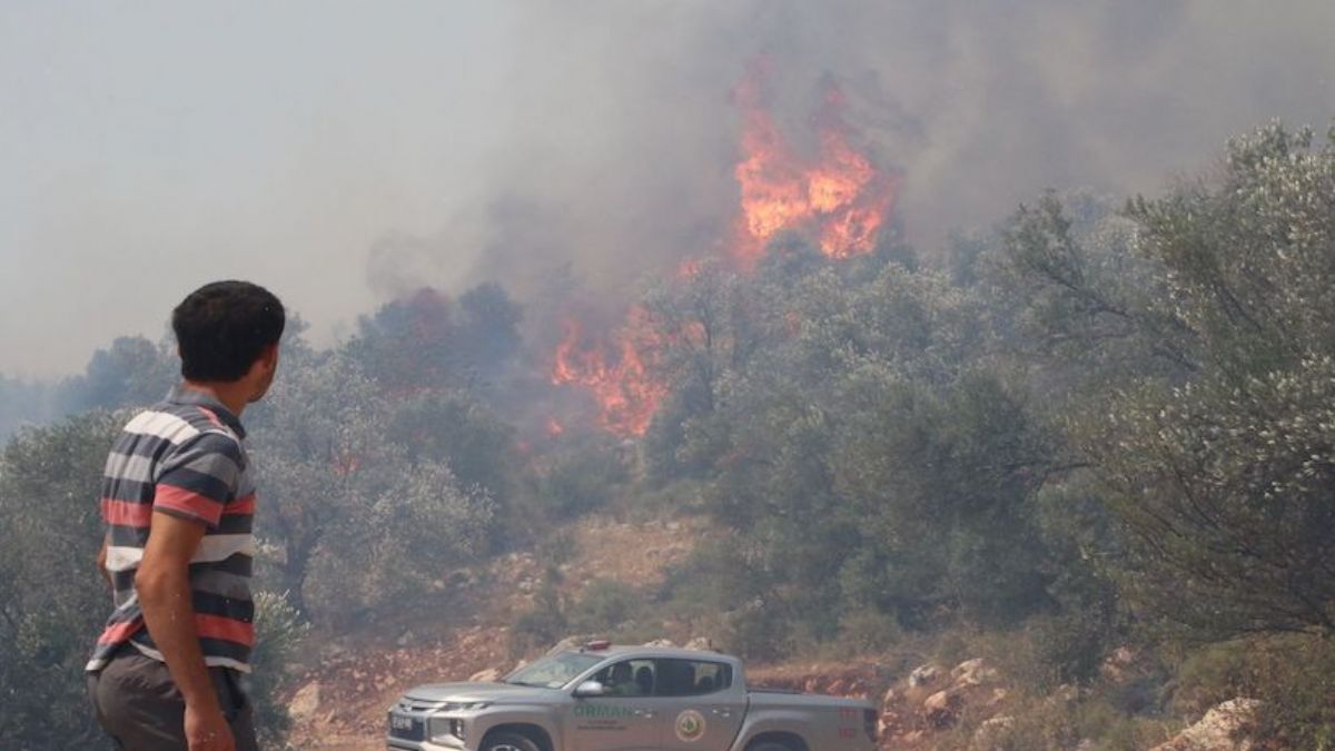 Antalya'da çıkan yangın kısmen kontrol altına alındı