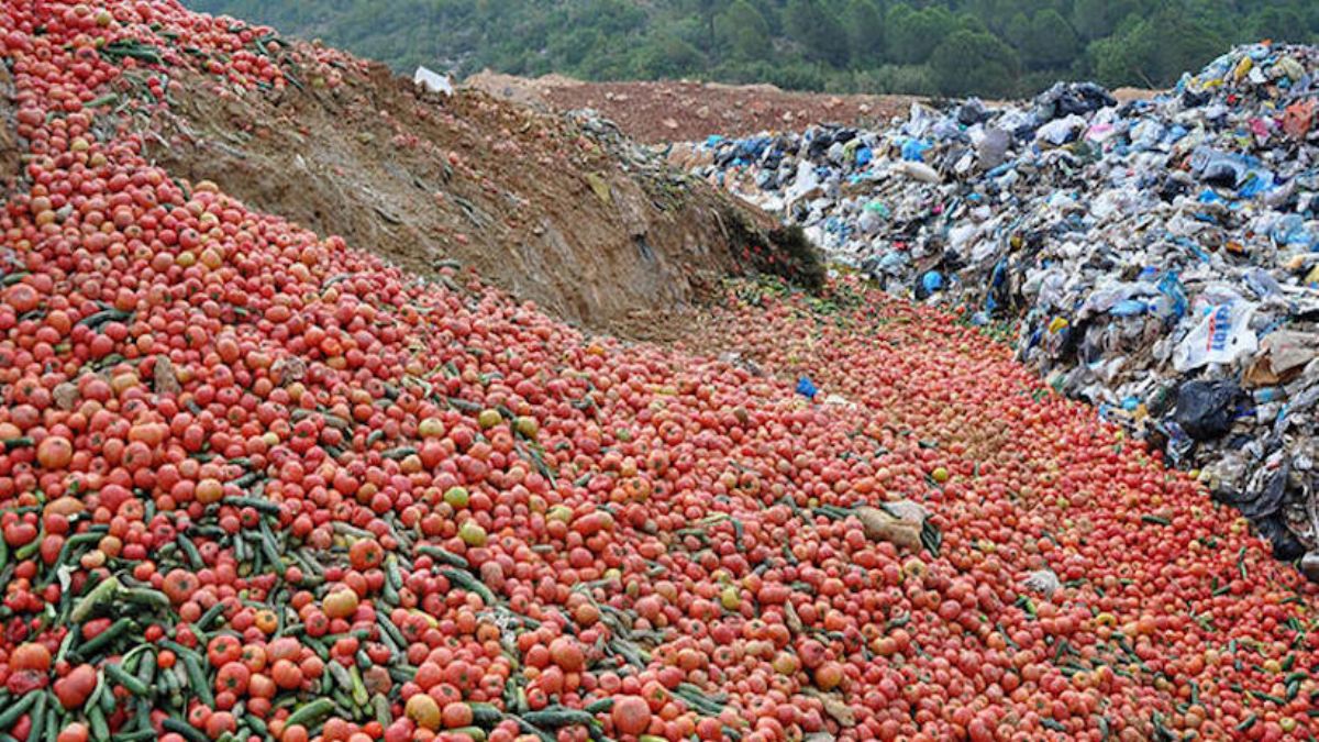 Sofraya uygun olmayan çöpteki sebzelerin paylaşımına suç duyurusu