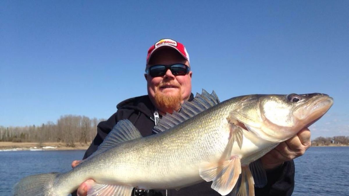 Balıklar çok kolay avlanıyor! İşte sebepleri
