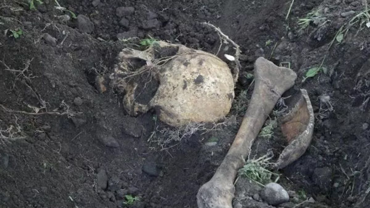 Su için yapılan kazıda kafatası ve kemik parçaları bulundu