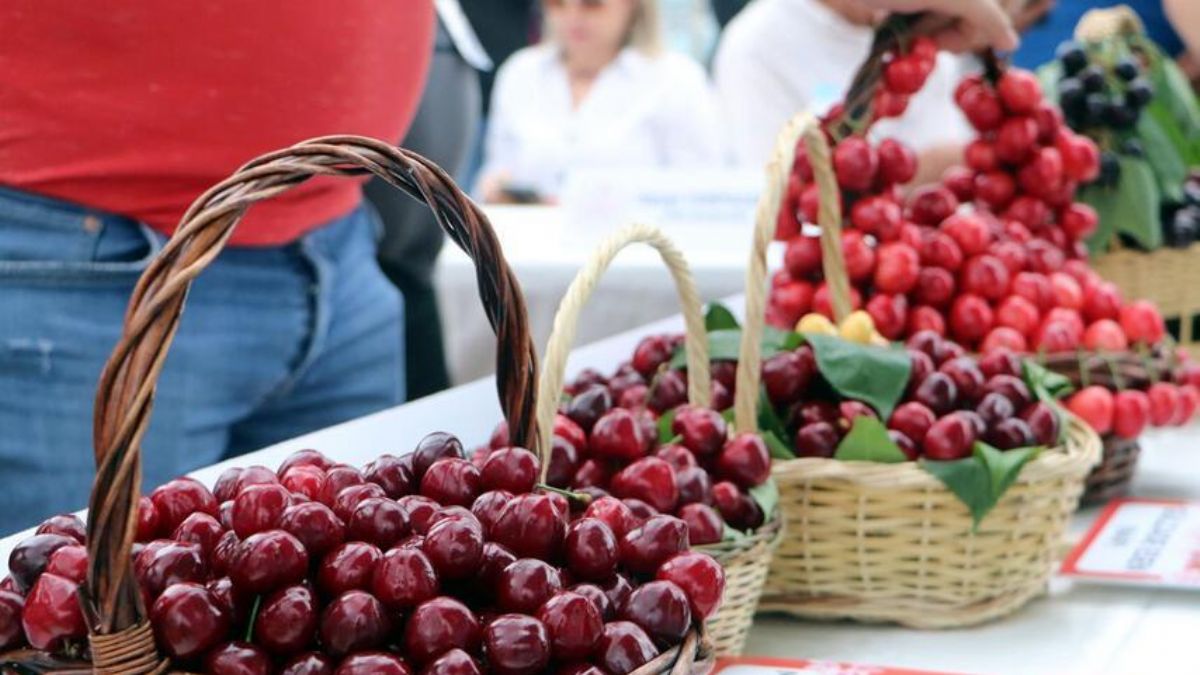 Tekirdağ'ın 'en güzel kirazı' seçildi