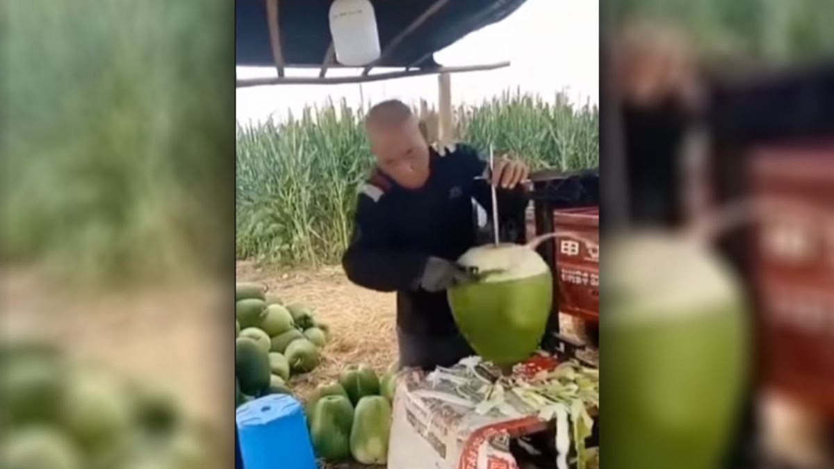 Bu meyve merak konusu oldu