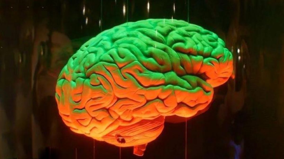 İnsan beyninin ideal sıcaklığı belli oldu: Vücudumuz gibi 36,5 derece değil!