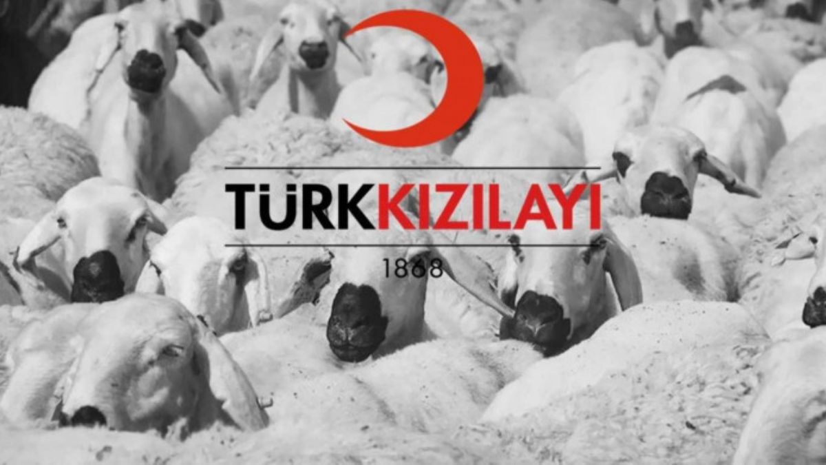 2022 Kızılay Yurt içi, yurt dışı kurban bağışı kaç TL? Kızılay'a vekalet nasıl verilir?