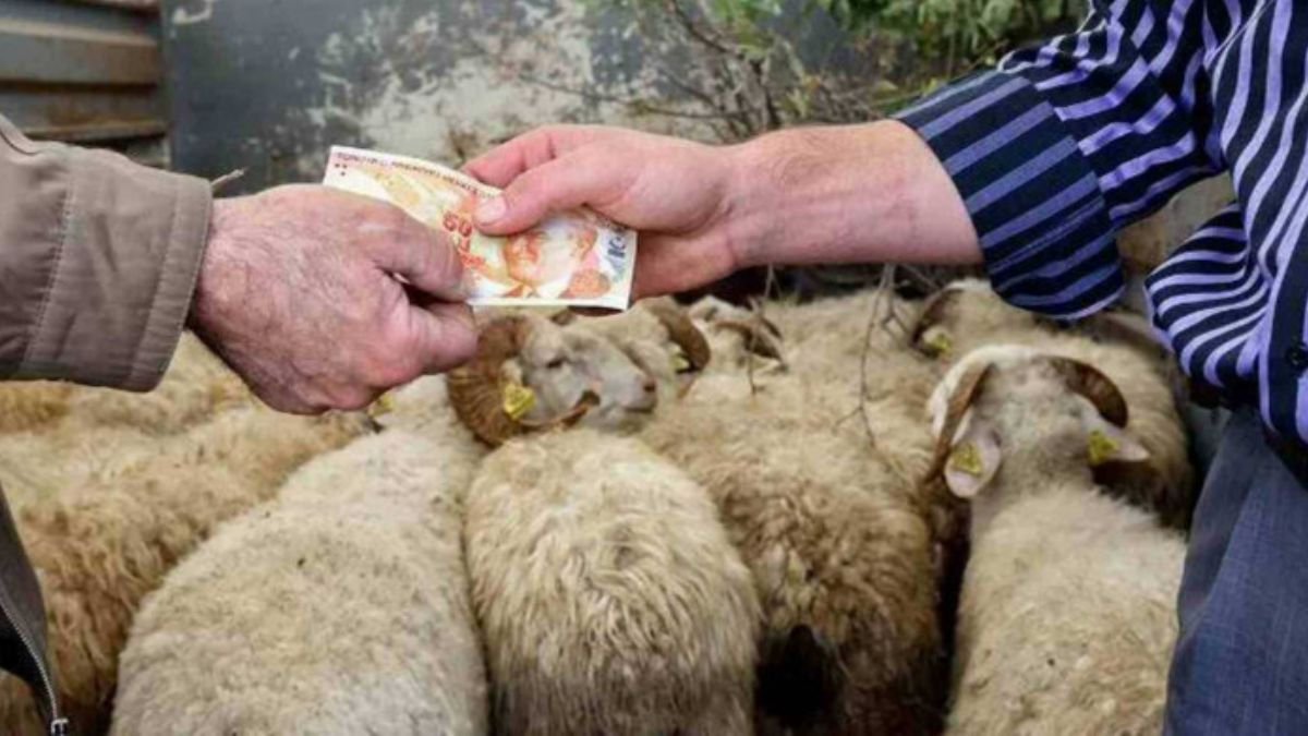 2022 Kurban Bayramı tatili kaç gün?  Bayram tatili uzatılacak mı?