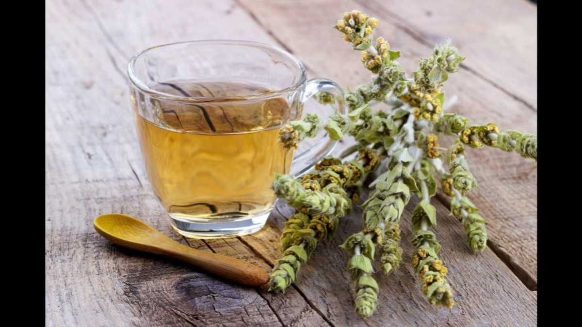 Ada çayının faydaları nedir? Ada çayı hangi hastalıklara iyi gelir?