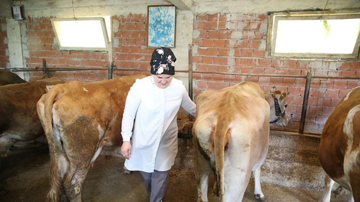 Ev hanımıydı, devlet desteğiyle besici oldu