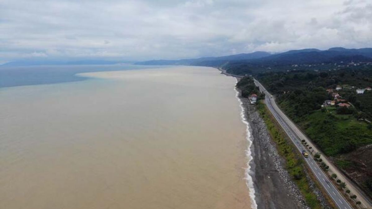 45 gün sürüyor! Gören şaşkına döndü