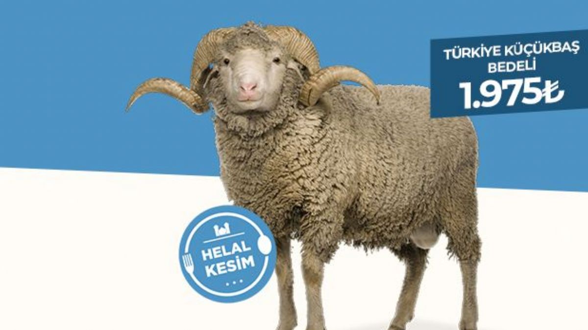 Kurbanpazarı.com ile helal kurban kesimi bir tık uzağınızda!