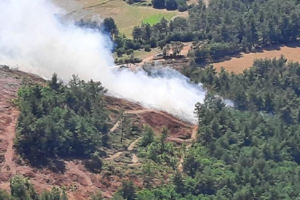 Çanakkale'deki orman yangınına havadan ve karadan müdahale ediliyor
