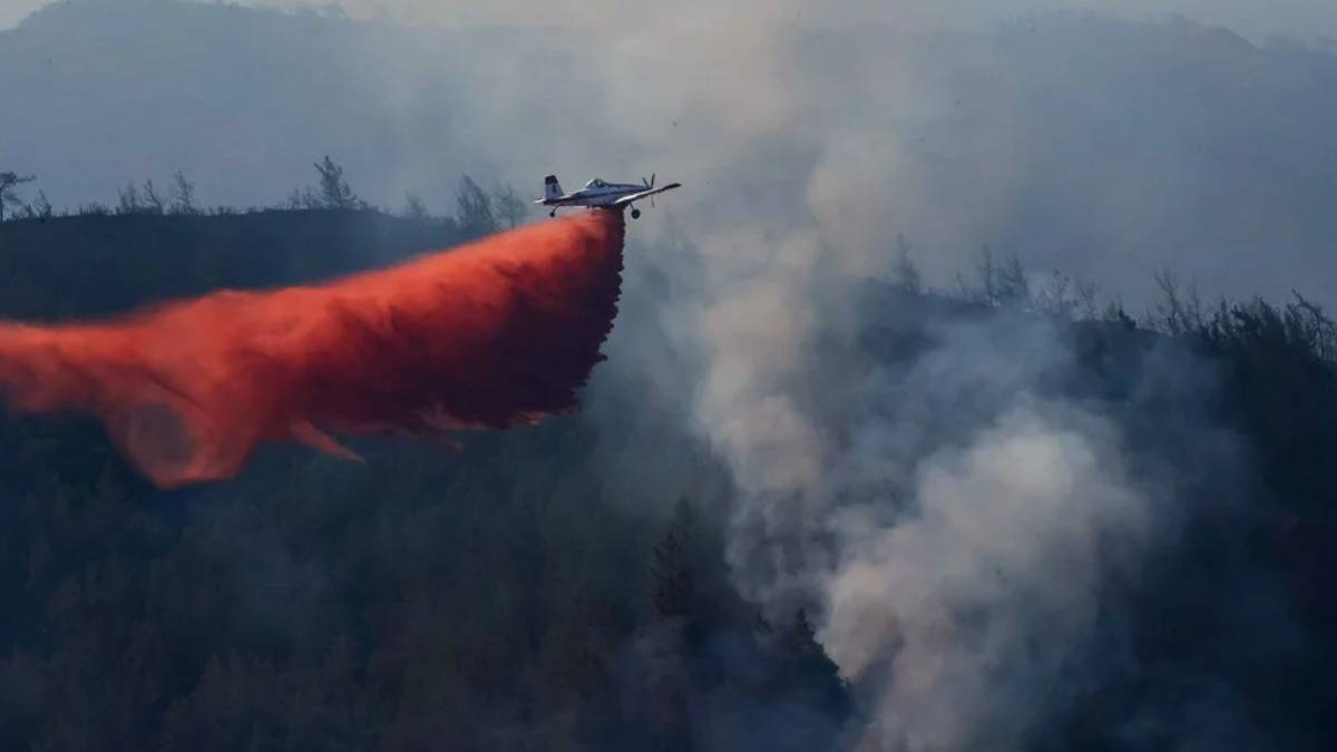 Marmaris'te ormanı kim yaktı? Sacit Ayhan kimdir? Sacit Ayhan neden ormanı yaktı?