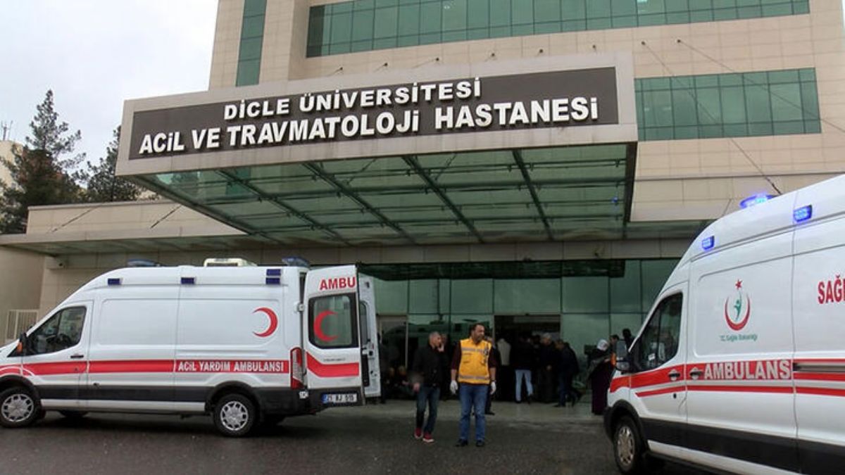 Ağaç altına sığınan 6 çobana yıldırım isabet etti