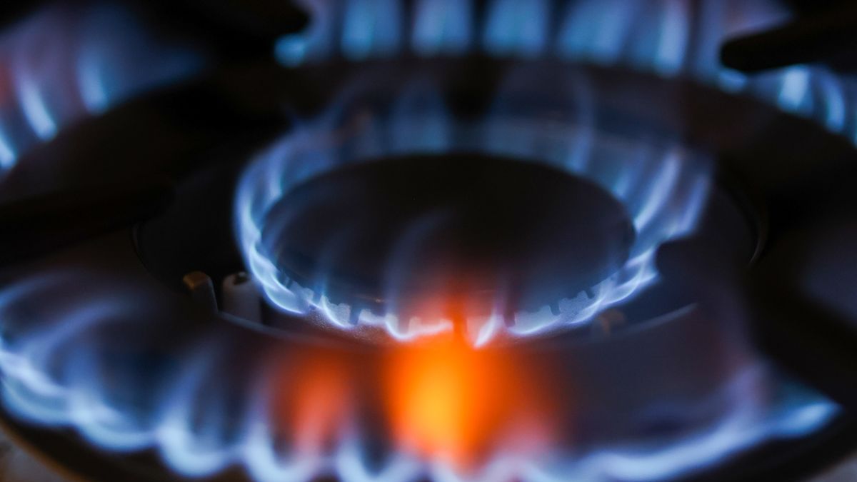 Fransa: Gelecek kış kötü geçecek