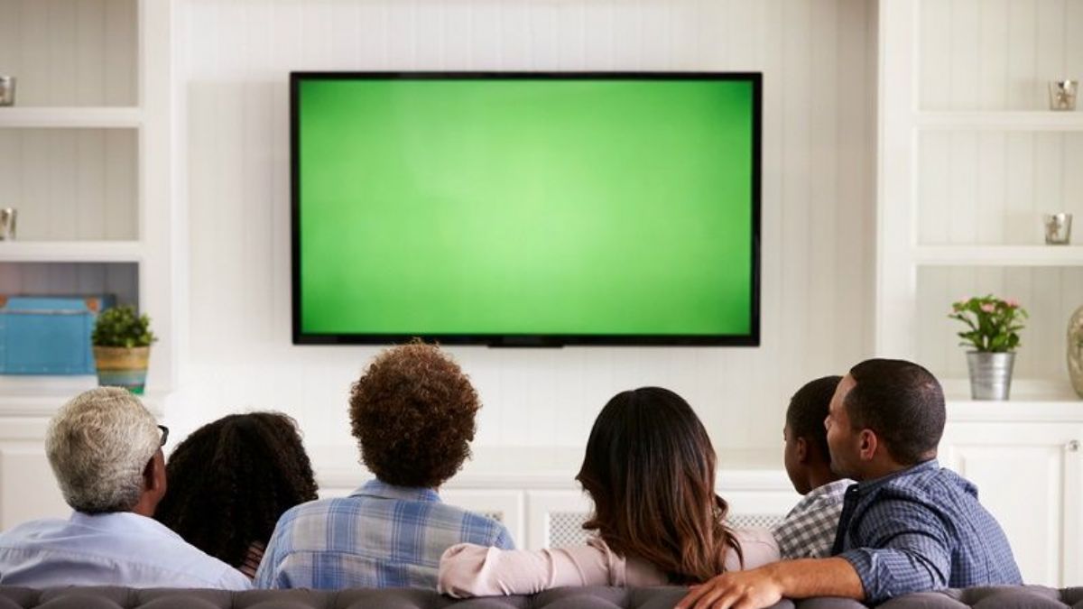 Ustaosmanoğlu, Fransızlar ve ‘aptal kutusu televizyon’