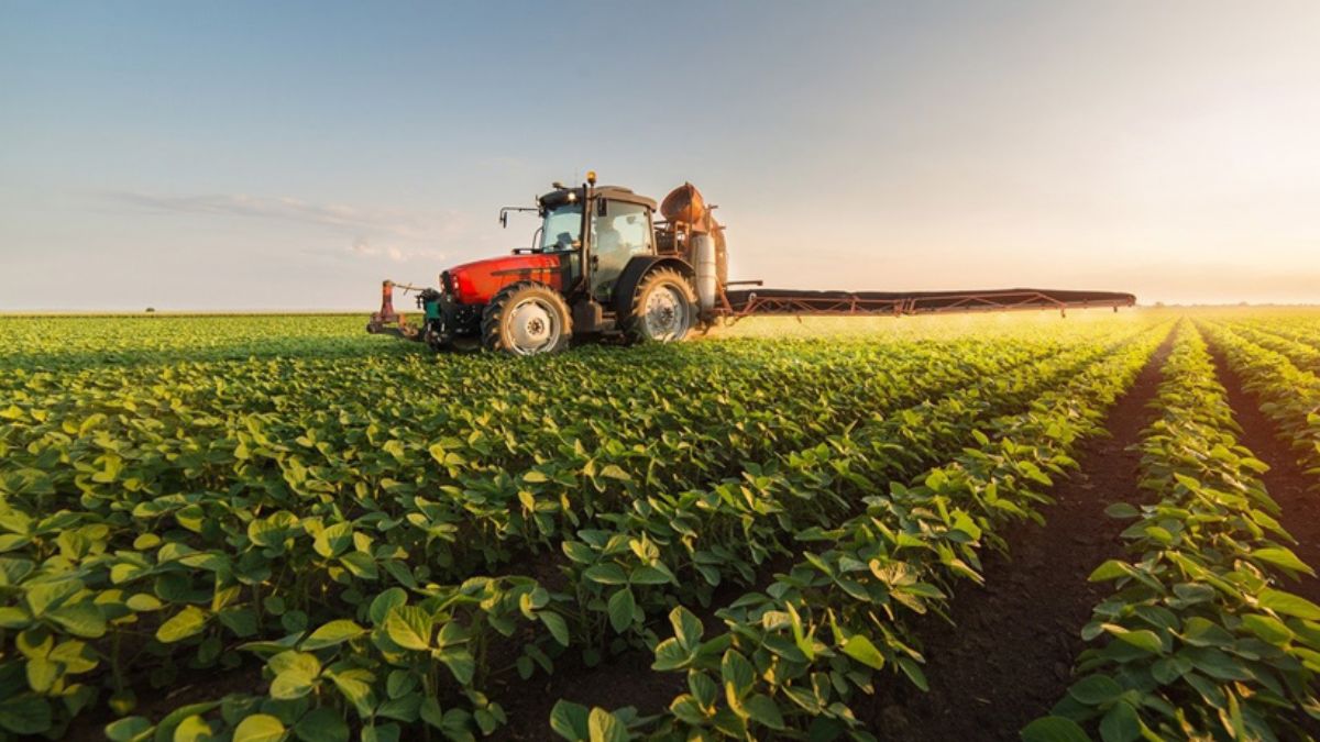 Tarımsal destek ödemeleri hesaplara yatıyor